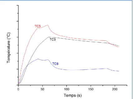 Figure 2-14: Exemple de profils thermiques employés lors du recuit d’échantillons de taille 15x15cm² 