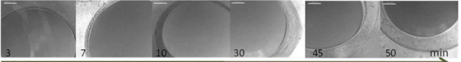 Figure 5 showed the dependence of capsule diameter and membrane thickness with curing time