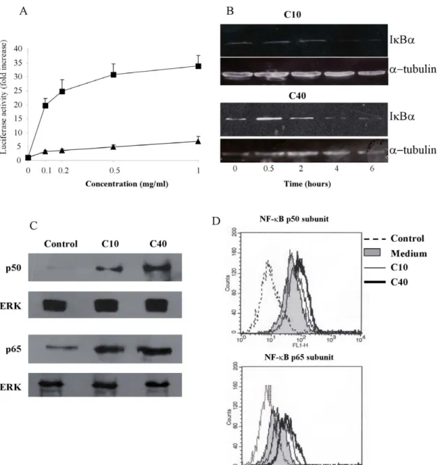 Figure 7. Degraded CGN activated the NF-kB pathway in monocytes. A: THP-1 cells were transfected with a NF-kB reporter plasmid driving expression of luciferase