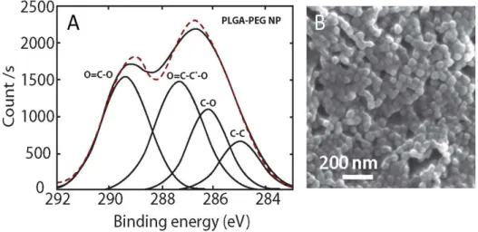 Figure 3.7. (A) High resolution C1s (right) scans of PLGA-PEG nanocapsules with peaks  deconvolution and signal assignment (dashed line represents the acquired signal while solid lines 