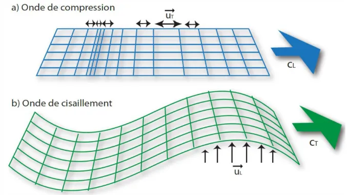 Figure 2.10 – Définition de l’onde de compression et de l’onde de cisaillement.