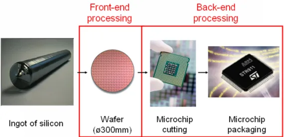 Fig. 1.2  Microchip processing