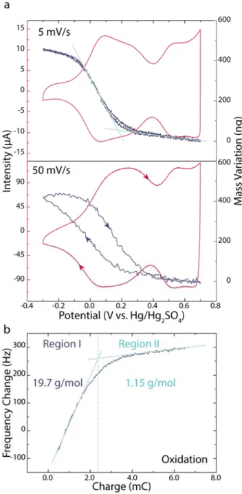 Figure 3. a EQCM measurement at 5 and 50 mV/s in acidic electrolyte. b M/z estimations from the slope 