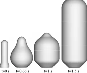 FIGURE 7. Simulation of the preform shape evolution. 