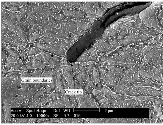 Fig. 7. Crack branch arrest at a grain boundary in a specimen of 0.4mm thickness tested at 600°C, R = 0.1