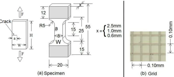 Fig. 1. (a) Specimen geometry; (b) Engraved grid on specimen surface. 