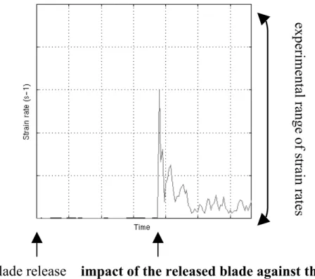 Figure 3. Strain rate in the impact area of the released blade versus time