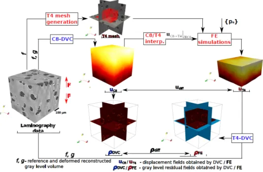 FIGURE 1. Schematic representation of the methodology coupling X-Ray laminography images, DVC and FE  modeling [6, 7].