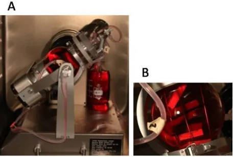 Fig.  1.  The  TisXell  cellular  bioreactor  (A)  applies  biaxial  rotation,  providing  continuous  irrigation  of the 3D scaffold and  improving  gas  exchanges