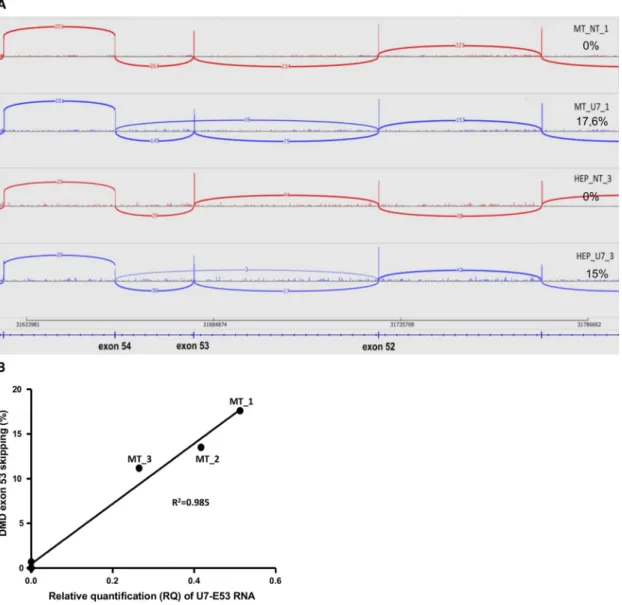 Figure 7. Skipping Quantification of Exon 53 of the DMD Messenger through RNA-Seq