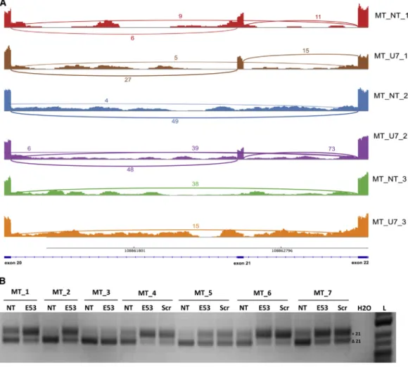 Figure 8. Validation of a Differentially Used Junction in COL25A1