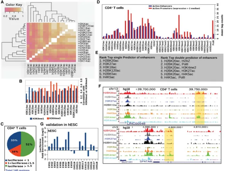 Figure 1. Distinct chromatin signatures of active enhancers and promoters. (A) Heatmap of Pearson correlation coefficients between ChIP-seq signals for 18 histone acetylation marks at open chromatin sites in CD4 + T cells