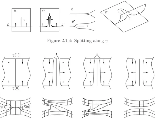 Figure 2.1.4: Splitting along γ