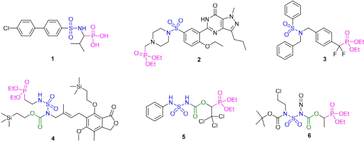 Figure 1. Structure of diverse sulfonamide and sulfamide derivatives containing a  phosphonate-type group