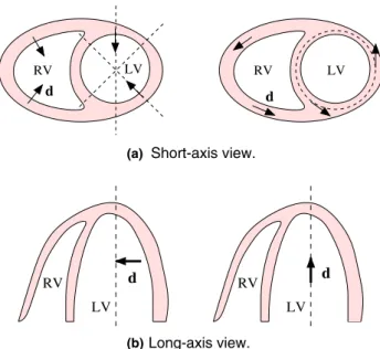 Fig. 3. Relevant orientations for deformation assessment in (a) short- short-axis and (b) long-short-axis views