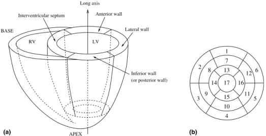 Fig. 4. (a) Myocardial walls and (b) bull-eye representation of the 3-levels, 16-segments LV model recommended by the AHA