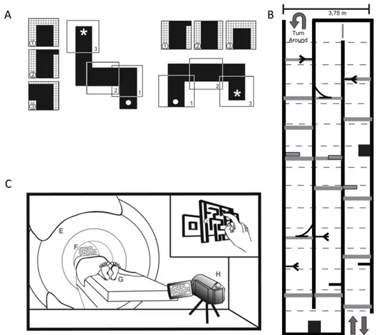 Figure 8. –   Exemple de dispositifs expérimentaux pour l’étude des réseaux impliqués dans la  navigation chez les personnes aveugles 