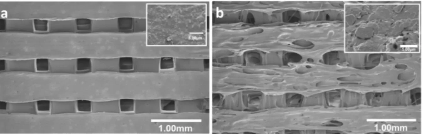 Fig. 1. Scanning electron micrographs showing the architecture of FDM 3D printed (a) PLA and (b) PLA/GO (0.2%) sca ﬀ olds