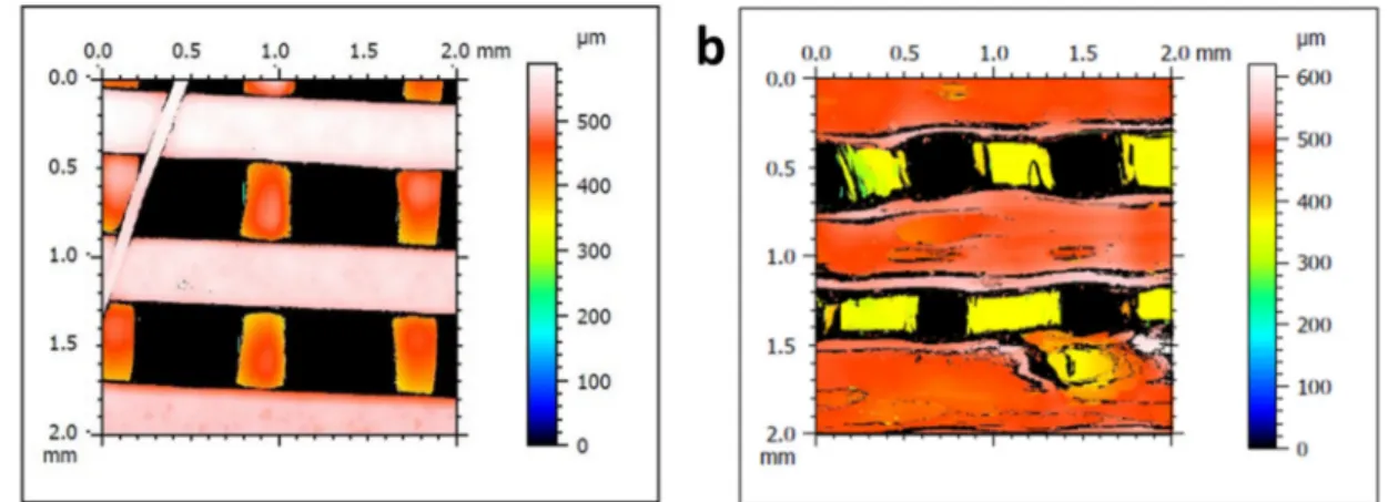 Fig. 2. Sca ﬀ old topography. Representative 3D images of the surface roughness of (a) PLA and (b) PLA/GO (0.2%) sca ﬀ olds.