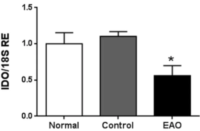 Figure 1.  Testicular mRNA expression of IDO. Testicular mRNA expression of IDO was determined by  qRT-PCR in testes from normal, control, and orchitis (EAO) rats