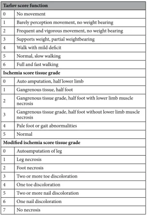 Table 1.  Clinical score parameters. Tarlov score function, ischemia score tissue grade, modified ischemia tissue  grade.
