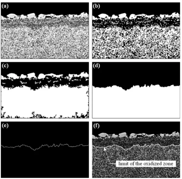 Fig. 8. Image analysis procedure applied on the image of Fig. 2b, to detect the interface between the partially oxidized zone and the undamaged ceramic: (a) dilatation of size 1 to expand the white grains (TiN phase) in the non-oxidized area; (b) threshold