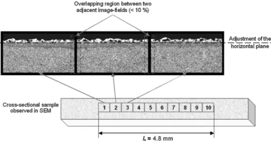 Fig. 1. Procedure for SEM image acquisition: in this example, a series of 10 images is scanned along the layer on a total length (l t ) of 4.8 mm (the covering area between two adjacent fields is of about 10%).