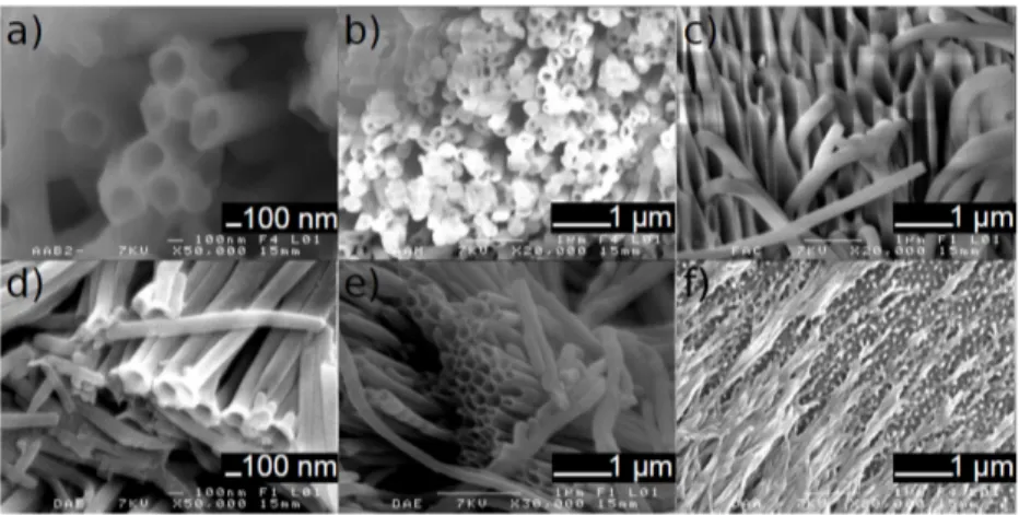 Figure  4.  SEM  images  of  the  nanostructures  obtained  by  the  wetting  template  method