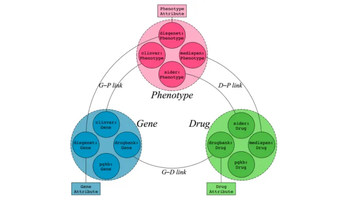 Figure 1 gives a general overview of the type of data we consider for this study: three types of entities, gene,  pheno-type and drug; and relationships between them, i.e., gene–