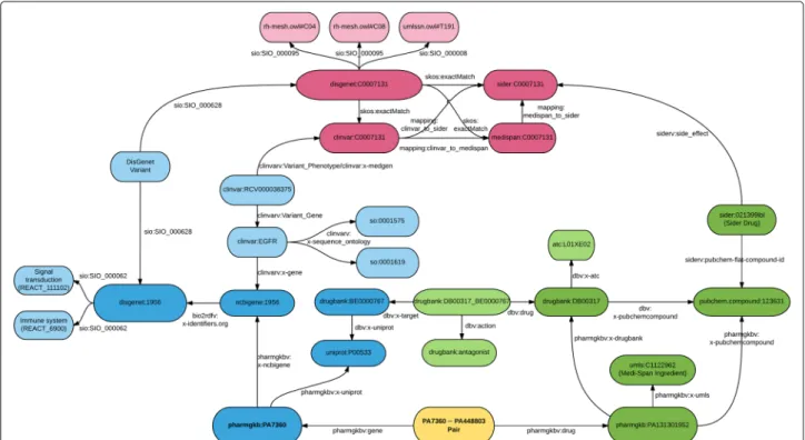 Fig. 3 Sample of PGx linked data, surrounding the gene–drug pair between the EGFR gene and Carboplatin