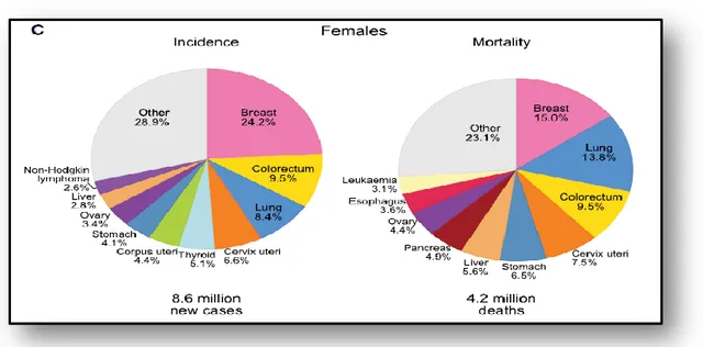 Figure I.12. Incidence/mortalité par  cancers chez les femmes dans le monde pour l’année  2018 (GLOBOCAN, 2018) 