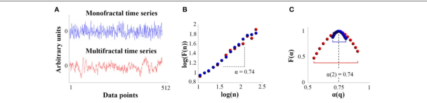 FIGURE 2 | Distinction between DFA and MFDFA analysis for mono and multifractal time series