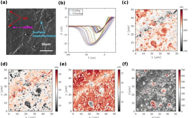 Figure 3: (a) SEM image showing carbonyl iron particles (CIP) embedded in a PDMS matrix, and surface imperfections