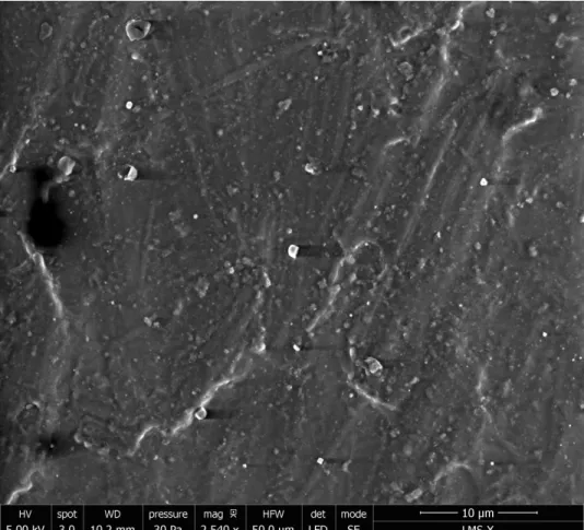 Figure B1: SEM image (secondary electrons) for the PDMS-CIP sample. Bright spots originates from the Carbonyl-Iron particles, while the PDMS shows a darker gray level.
