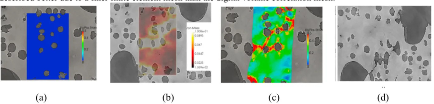 Fig. 2. Observation of void growth and coalescence on 2D cut of the region of interest at different stages of tension test and superimposition of  digital volume correlation and finite element equivalent strain field on microstructure