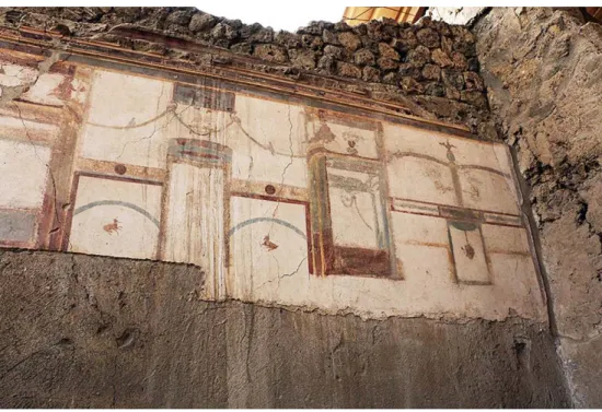 Fig. 3 – Pompéi, Région I, insula 6, maison 4, peintures inachevées dans une chambre.