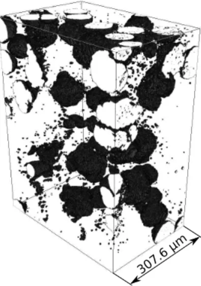Fig. 4 3D rendering of all dark features of the nodular cast iron reconstructed volume