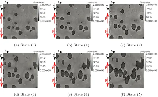 Figure 7 shows microstructure sections for the unloaded state and after the first five loading steps
