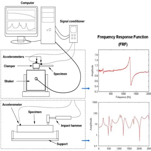 Figure  4.  Modal  analysis  tests:  experimental  setups  and  Frequency  Response  Functions (FRF) 