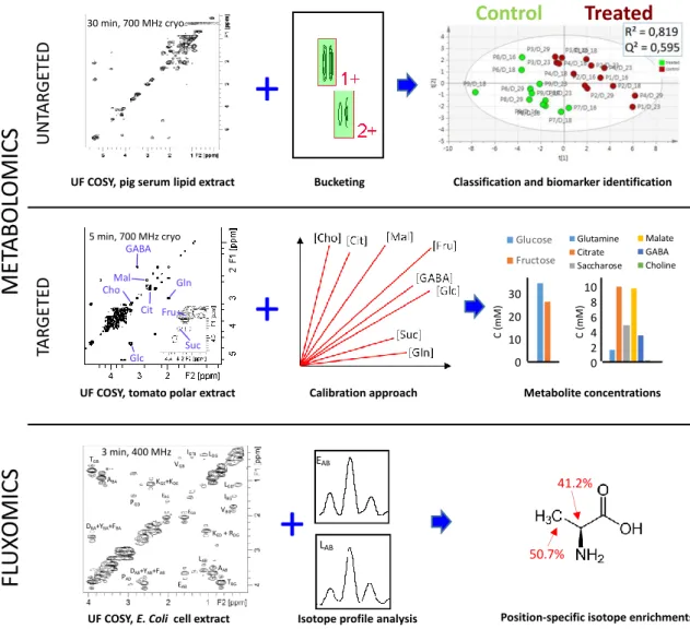 Figure 2. Illustration of the potential of fast 2D NMR methods based on ultrafast 2D NMR (COSY in  these examples) in metabolomics and fluxomics