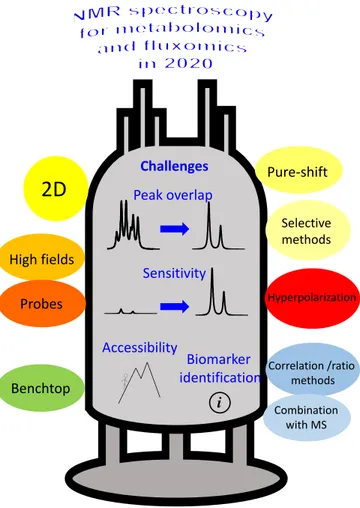 Figure 1. Overview of the current challenges in NMR-based metabolomics and fluxomics, and of the  main solutions being explored by the research community