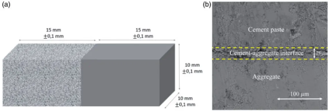 Figure 1. Dimension of the sample used in the shear test (a) and SEM observation of cement paste-aggregate interface (b).