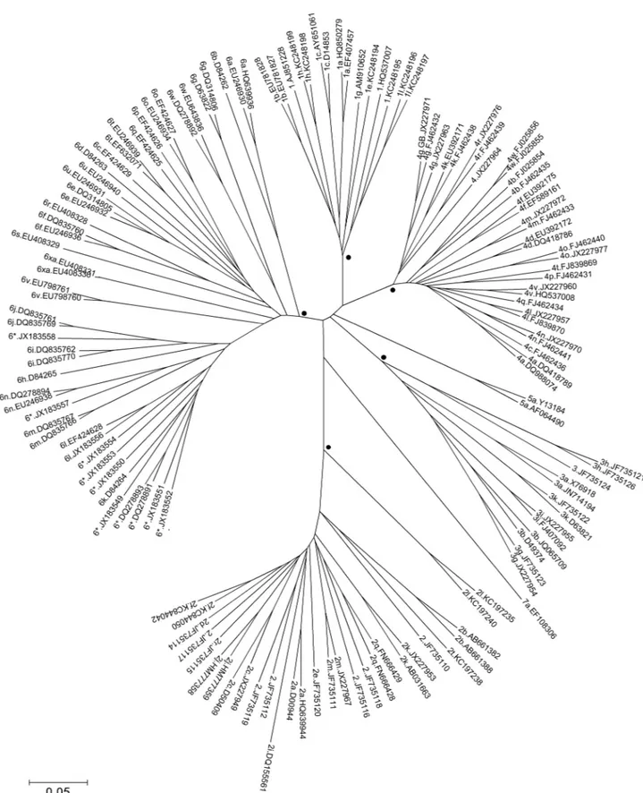 Fig 1. Phylogenetic neighbour joining tree of the HCV NS4B-NS5A fragment sequences (6084–6057 numbering H77) from 141 confirmed HCV genotype/subtype or unassigned reference sequences, identified by accession number