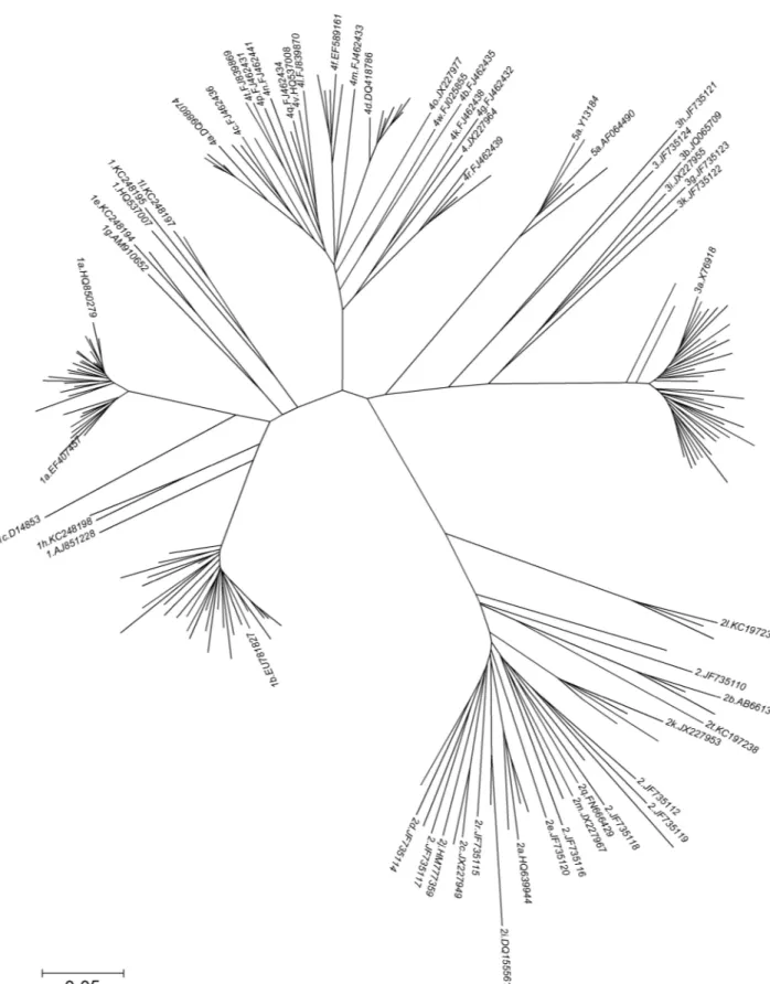 Fig 2. Phylogenetic tree of the 142 clinical sequences NS4B-NS5A from patients (taxon name not shown) aligned with HCV references sequences (accession number shown)