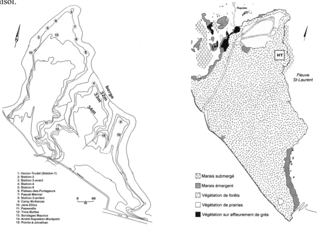 Fig. 4.2 –  Topographie, localisation des sites archéologiques et végétation de Pointe-du-Buisson
