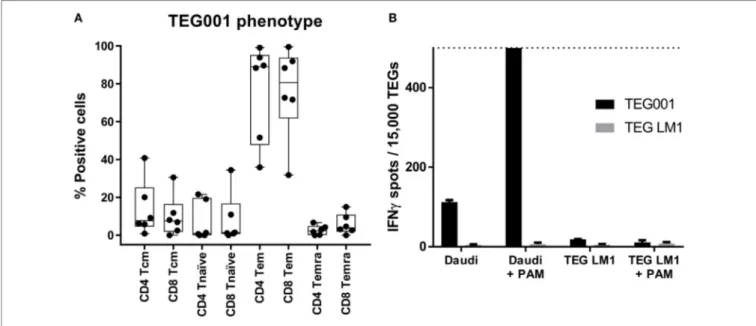 FigUre 6 | TEGs have a predominant effector-memory/effector phenotype. (a) The phenotype of TEGs from four different donors was determined by measuring  CD45RO in combination with CD27 expression on day 13, after the CliniMACS depletion