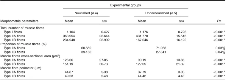 Fig. 6. Effects of undernutrition on the fibre composition of masseter muscles. (a) Rat superficial masseter muscle sections stained for myofibrillar ATPase activity after pre-incubation in a buffer at pH 4.7 showing the variability in fibre type content b