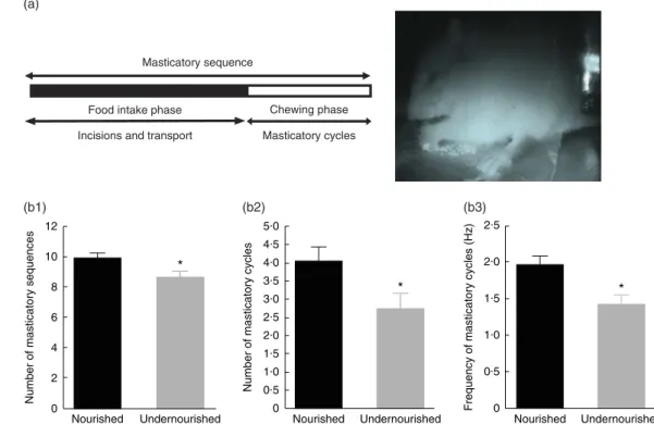 Fig. 1. Differences in masticatory sequences between nourished and undernourished groups