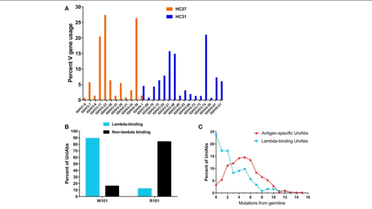 FIGURE 3 | Characterization of UniRat V gene usage, light chain association, and somatic hypermutation