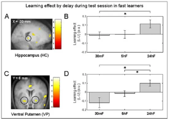 Figure 8 : Activity of the hippocampus and striatum with learning 